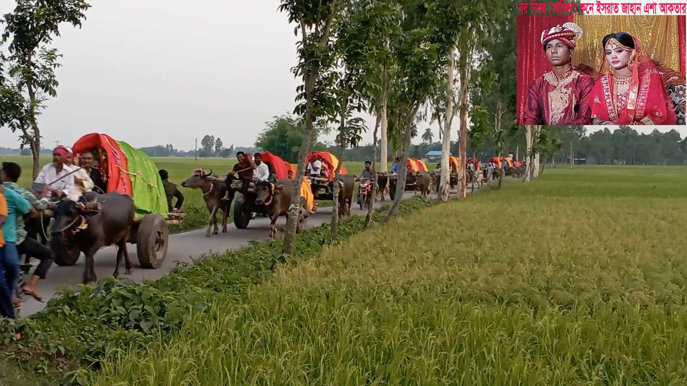 ঠাকুরগাঁওয়ে বাবার ইচ্ছা ও ঐতিহ‍্যকে ধারন ও পূরণে ১০টি গরু-মহিষের গাড়িতে বরযাত্রা!