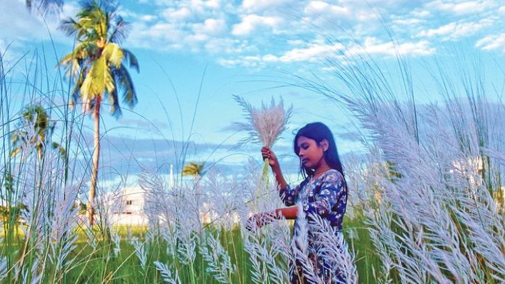 সৌন্দর্যের ঋতু শরতের প্রথম দিন আজ