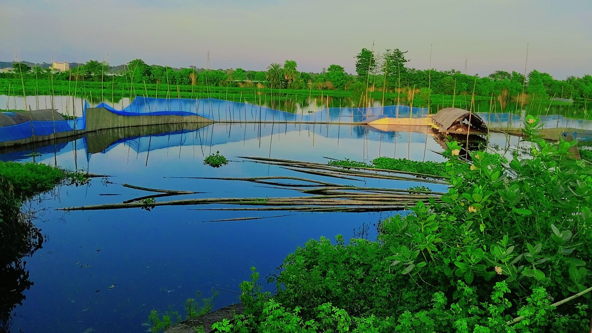 প্রভাবশালীদের দখলে কালিদাসখালী-আড়পাড়া খাল