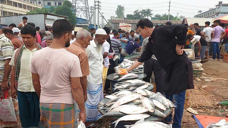 মুন্সিগঞ্জে ইলিশের সরবরাহ স্বাভাবিক থাকলেও দাম বেড়েছে দ্বিগুণ।