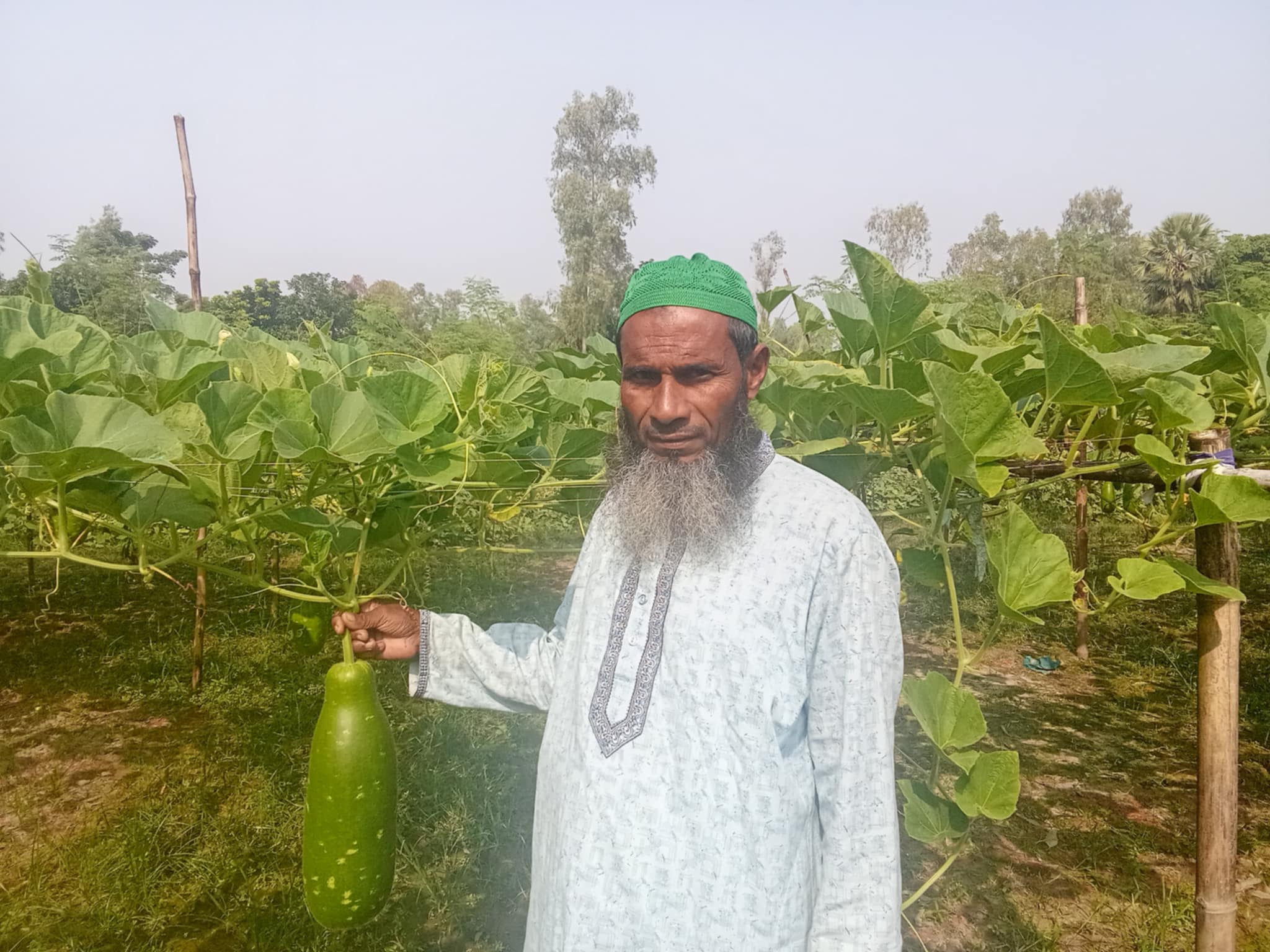 আত্রাইয়ে লাউ চাষে স্বাবলম্বী কৃষক মকছেদ মন্ডল