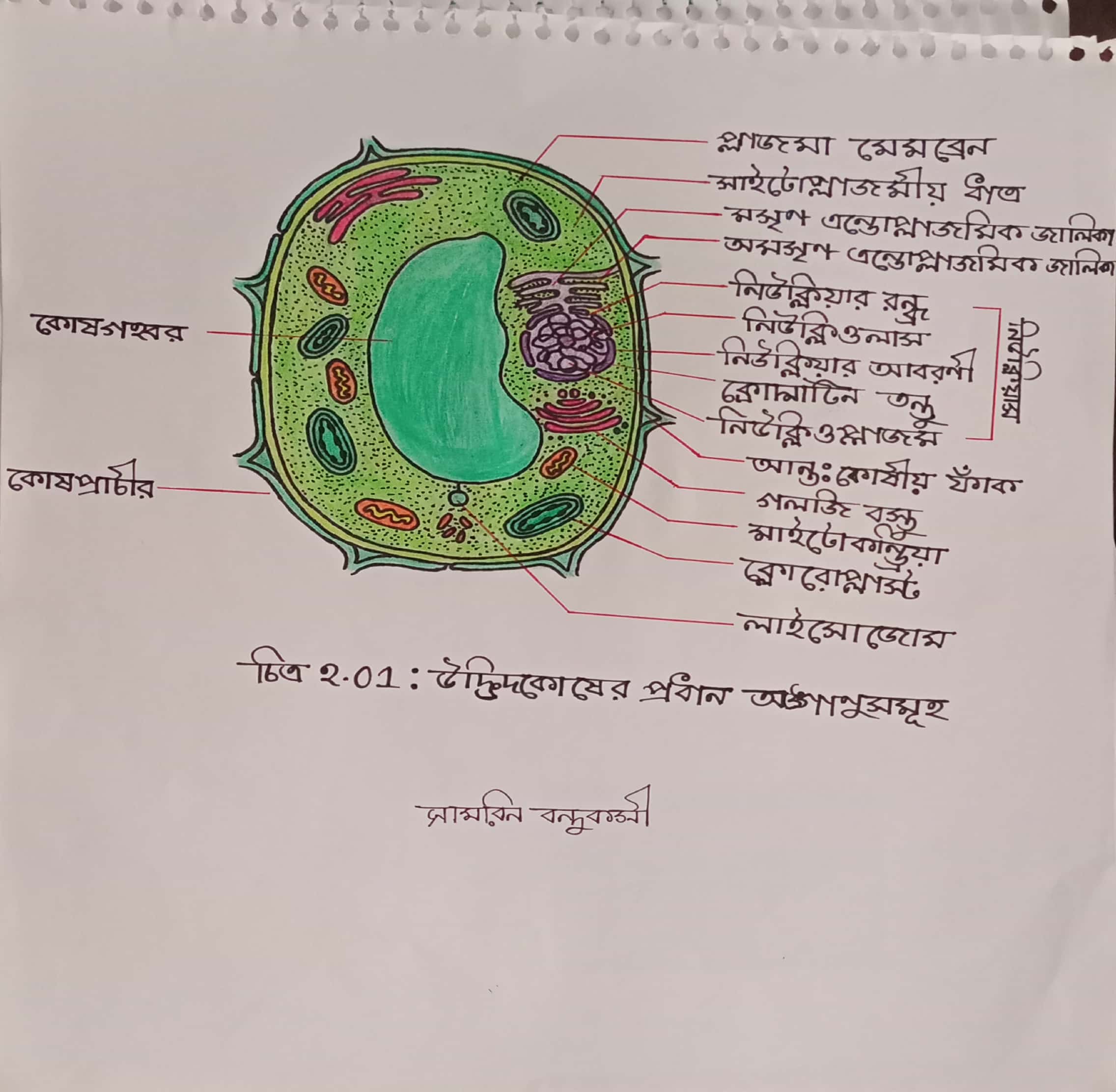 এস.এস.সি জীববিজ্ঞান- পরীক্ষার প্রস্তুতি – ২০২৫