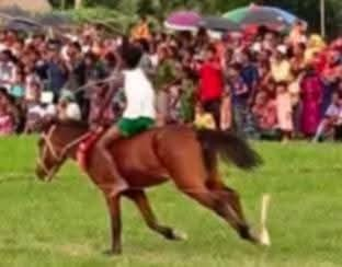 শালিখায় ১১৩ তম ঐতিহ্যবাহী ঘোড়দৌড় প্রতিযোগিতা  অনুষ্টিত