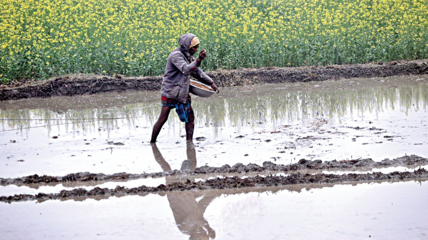 Farmers forced to pay more than subsidised rates for fertiliser