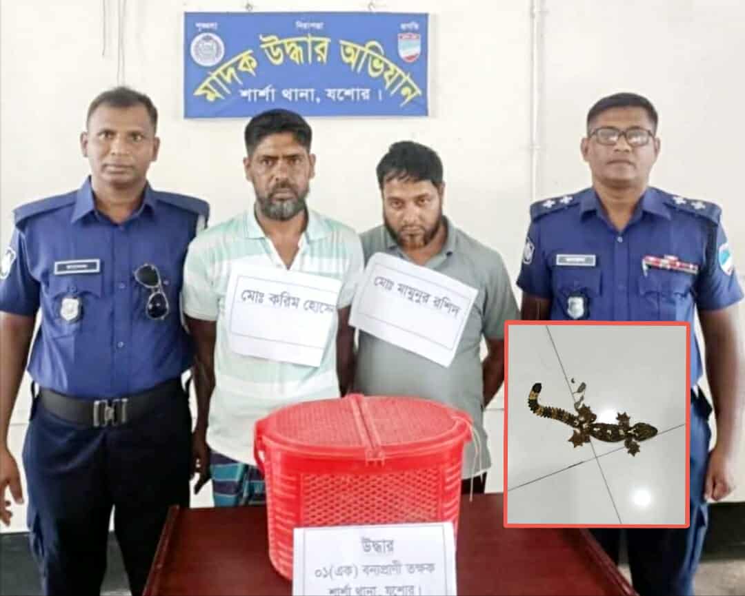 যশোরের শার্শায় তক্ষকসহ দুইজন আটক