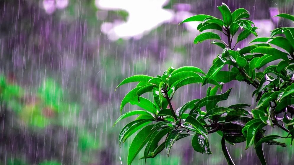 ঢাকাসহ যেসব অঞ্চলে বজ্রসহ ঝড়বৃষ্টি হতে পারে