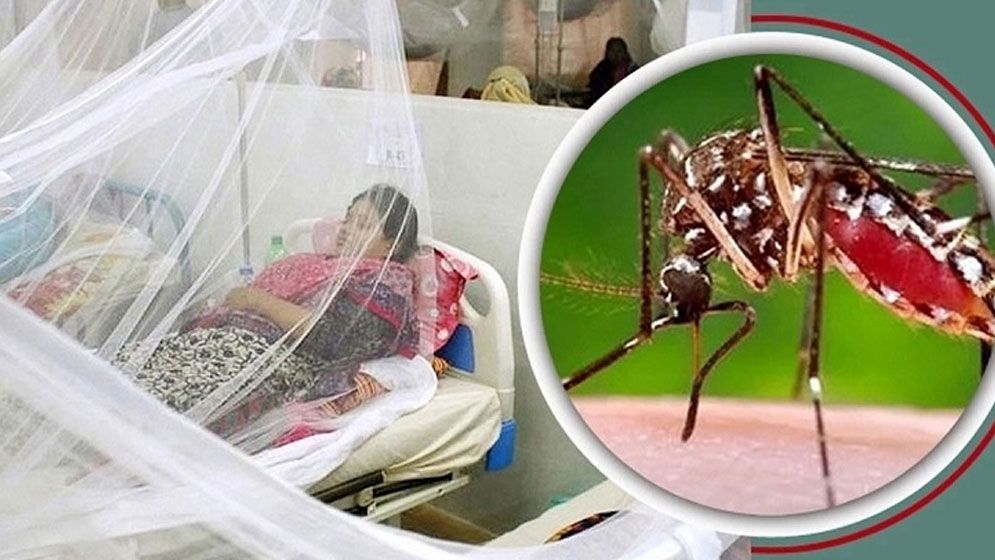 গত ২৪ ঘণ্টায় ডেঙ্গুতে রেকর্ড সংখ্যক আক্রান্ত