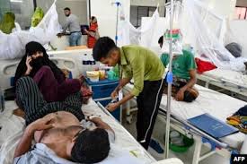 জুনে ডেঙ্গু রোগীর রেকর্ড, জুলাই হতে পারে পিক সিজন
