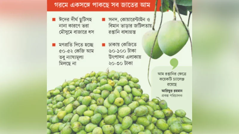 আমের বাজার ভালো না