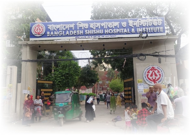৬৫ চিকিৎসক নিয়োগ ‘রাতের ভোটে’র মতোই