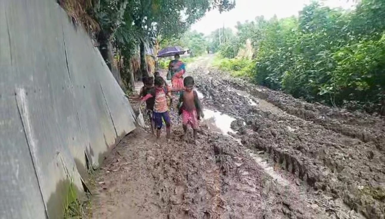 রাস্তার বেহাল দশা ভোগান্তিতে হাজারো মানুষ