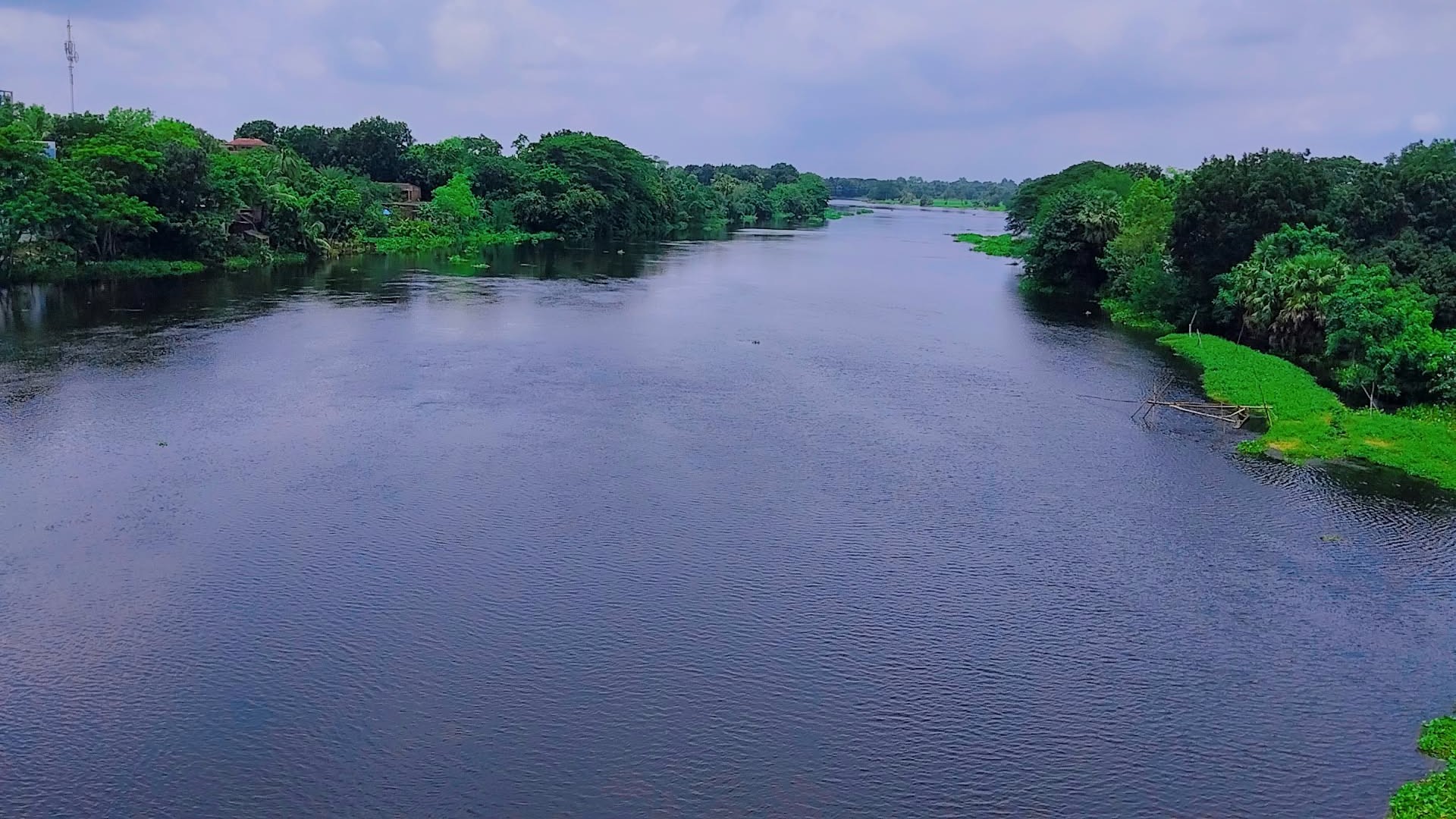 কচুরিপানা পরিষ্কারে, প্রাণ ফিরলো ফটকি নদীর