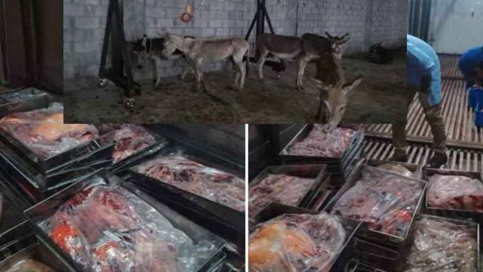 পাকিস্তানের রেস্তোরাঁয় মিলছে গাধার মাংস