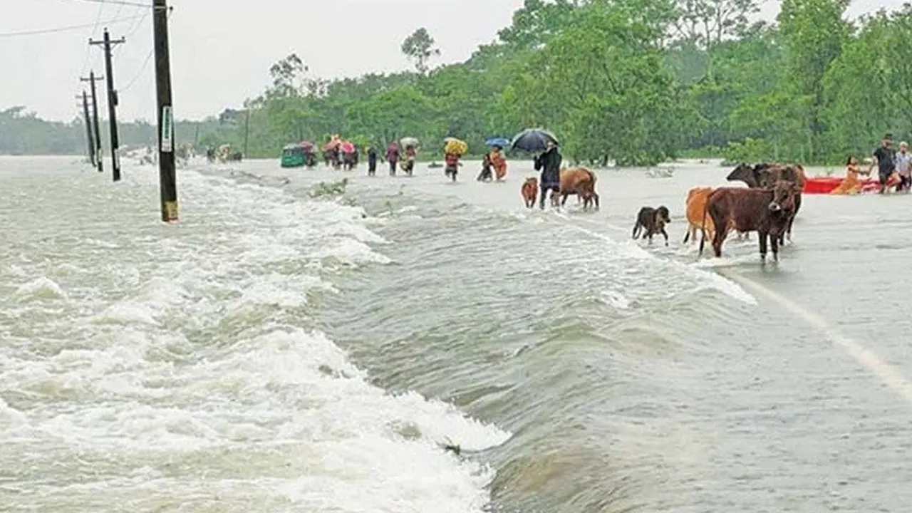 বাড়ছে নদীর পানি, কয়েক জেলায় আবারও বন্যার শঙ্কা