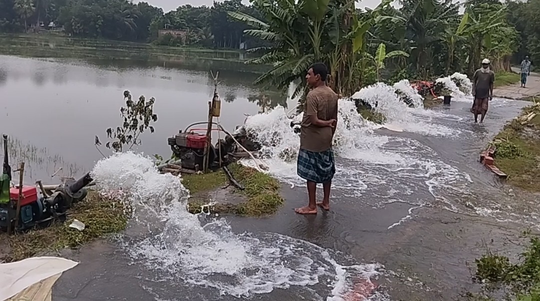 শালিখায় পানি সেচে ফসল রক্ষার চেষ্টা