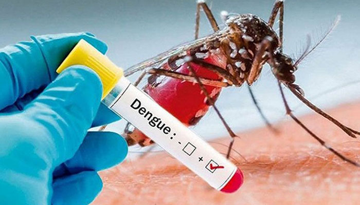 ডেঙ্গুতে আরও ৩ জনের মৃত্যু, হাসপাতালে ৪১২