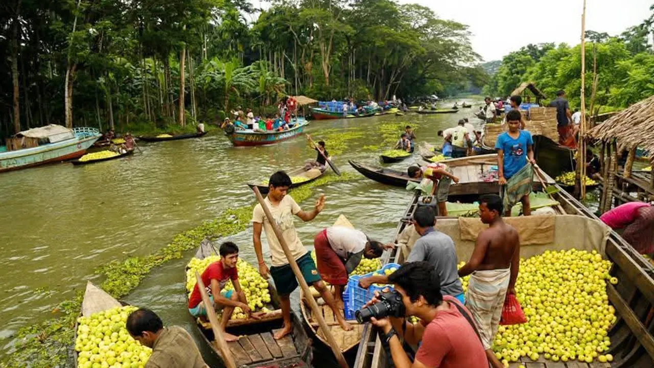 পেয়ারা বাগান ঘুরে মুগ্ধ দর্শনার্থীরা