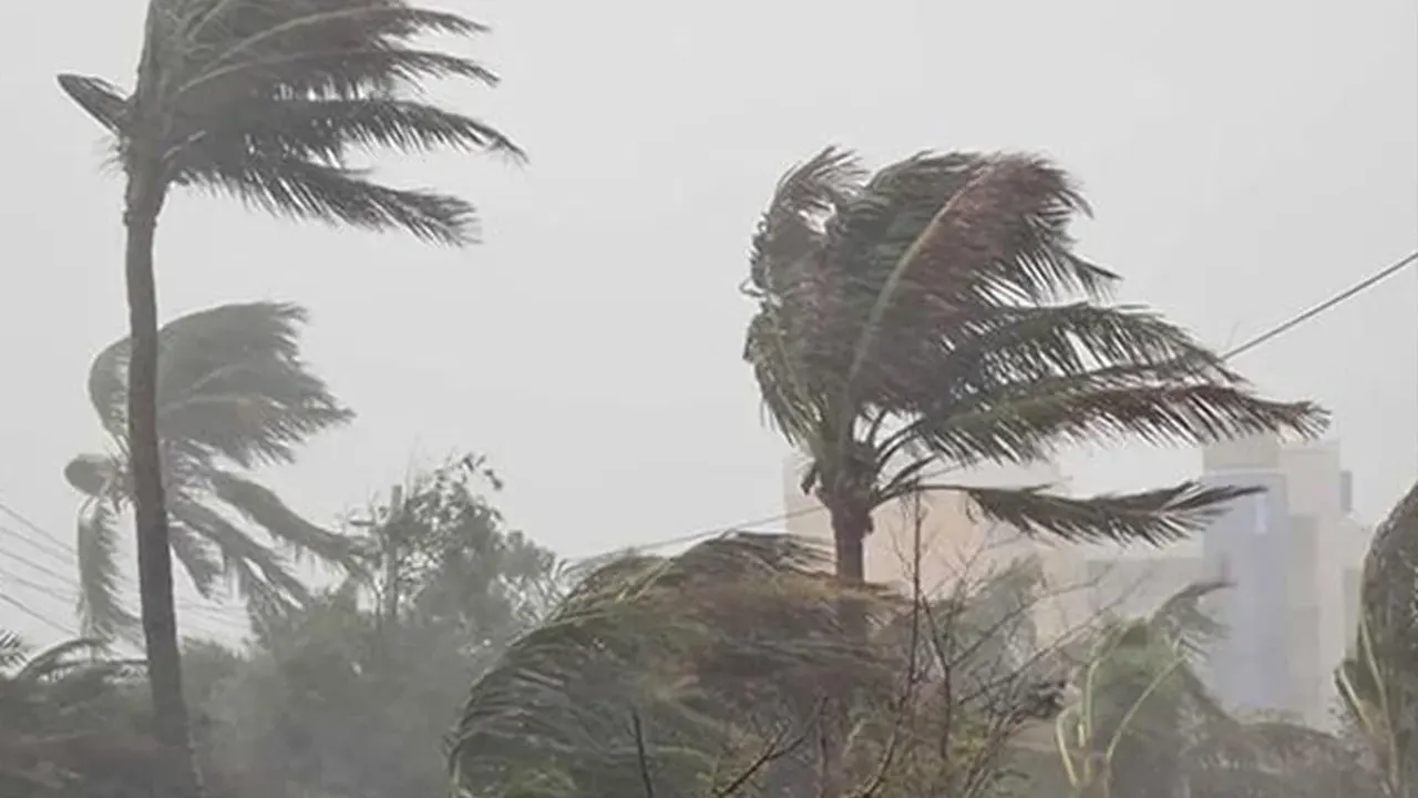 দুপুরের মধ্যে যেসব জেলায় হতে পারে ঝড়বৃষ্টি