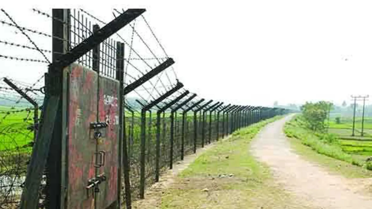 সীমান্তে ১২ রোহিঙ্গাকে পুশইন