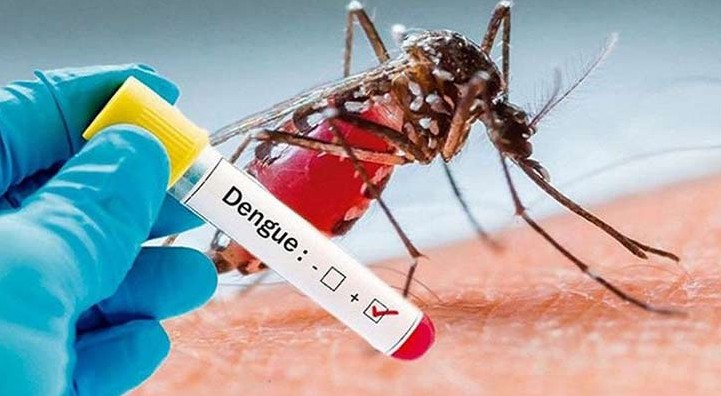 ডেঙ্গুতে প্রাণ গেল আরও ৪ জনের, হাসপাতালে ভর্তি ৮৪৫