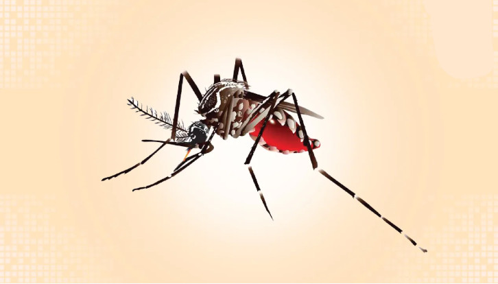 ডেঙ্গুতে মৃত্যু ২৫০ ছাড়াল