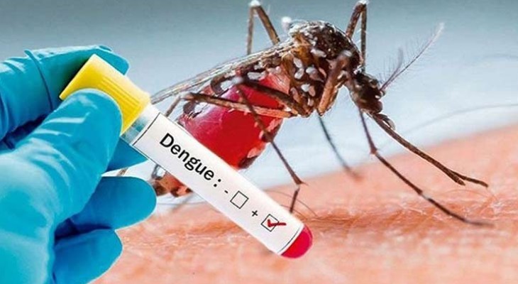 ডেঙ্গুতে আরও ৬ মৃত্যু, হাসপাতালে ৯৫৩