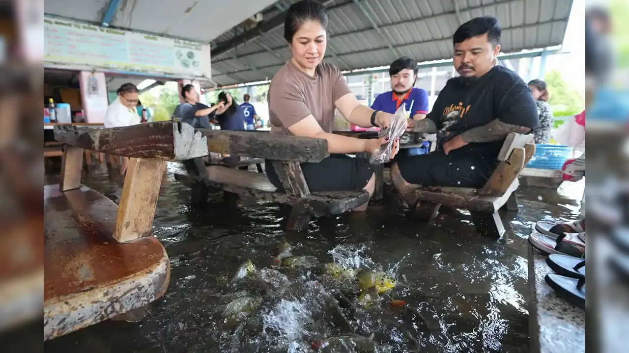 রেস্তোরাঁয় এসে খাবার খাচ্ছে মাছ