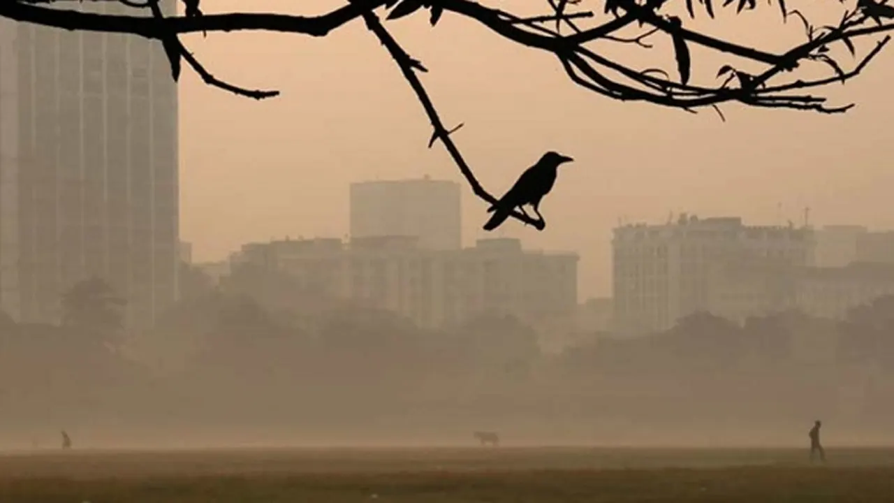 ঢাকায় শীতের আমেজ, তাপমাত্রা নামল ১৯ ডিগ্রিতে