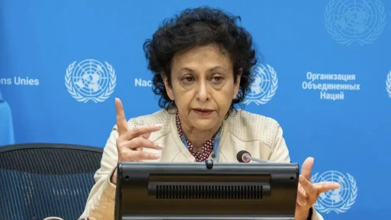 নির্বাচনের আগে জনরোষকে হাতিয়ার বানানোটা উদ্বেগের: আইরিন খান