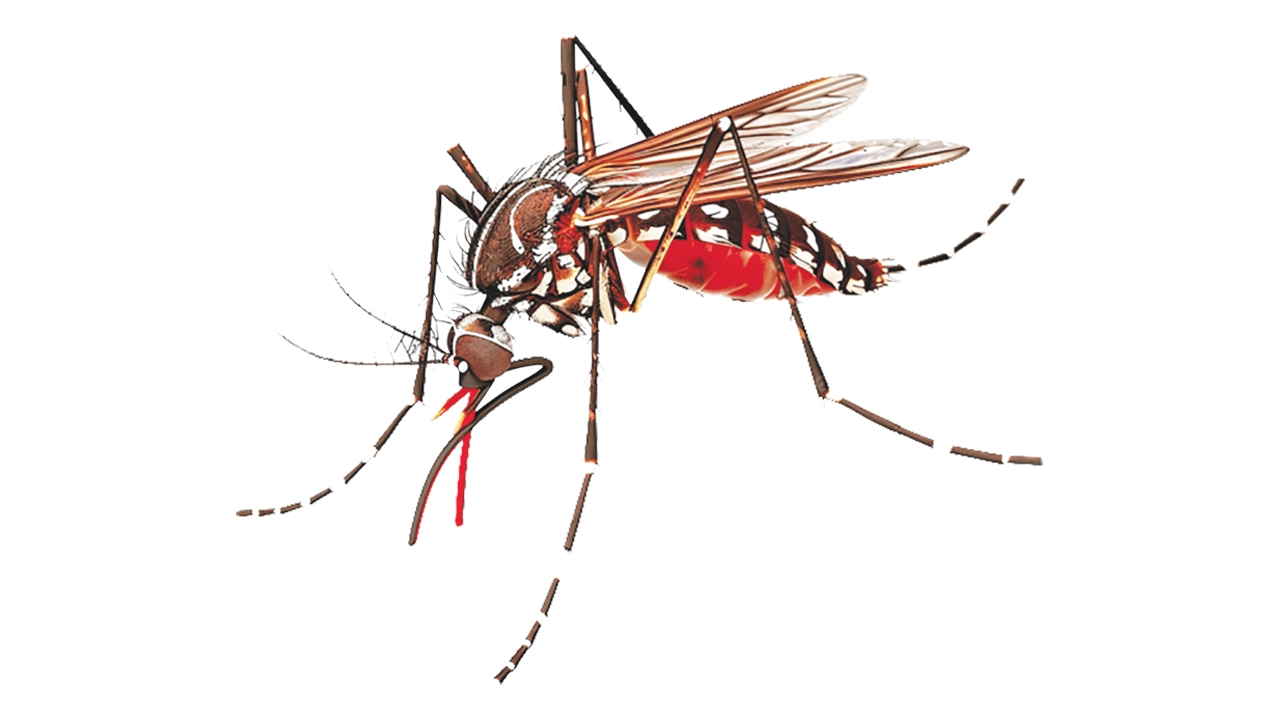 ডেঙ্গুতে চার শতাধিক মৃত্যুর দায় কার