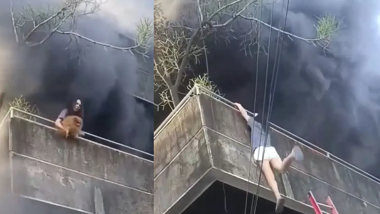 জীবনের ঝুঁকি নিয়ে কুকুর ছানাকে বাঁচালেন তরুণী