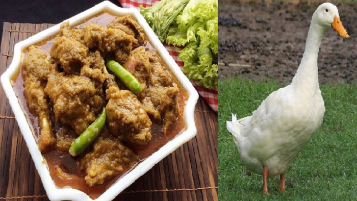 হাঁসের মাংসের যত উপকারিতা