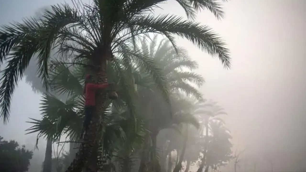 বাংলাদেশে সবচেয়ে বেশি শীত কবে পড়েছিল