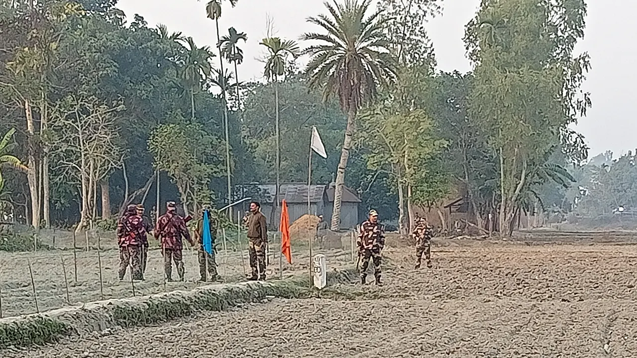 সীমান্তে বিএসএফের সড়ক নির্মাণের চেষ্টা, বিজিবির বাধায় বন্ধ কাজ