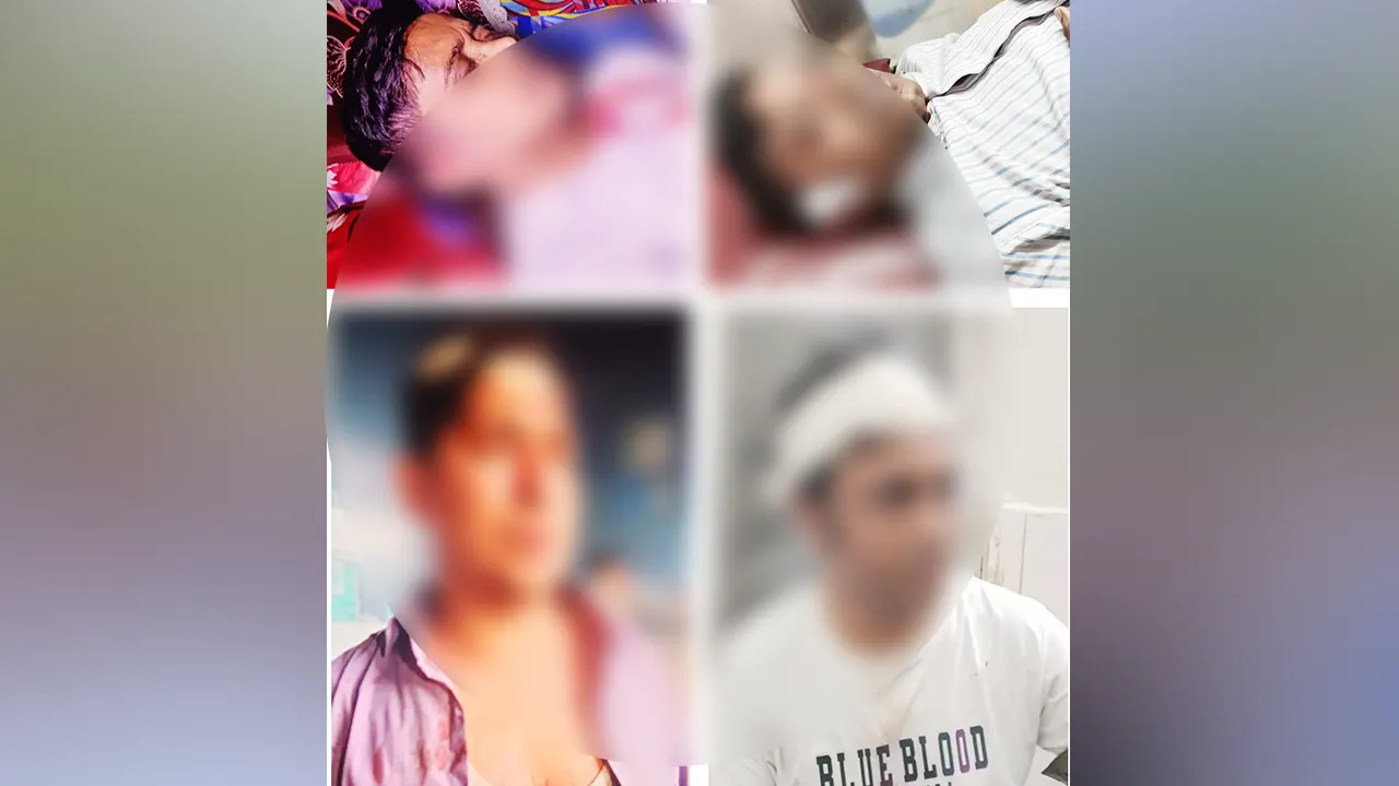 সন্ত্রাসী হামলায় ১০ সাংবাদিক আহত