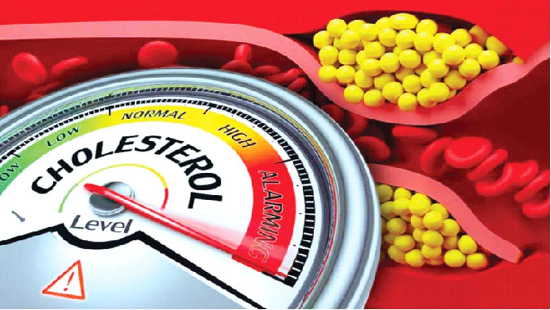 রক্তে কোলেস্টেরলের মাত্রা বেশি- কী করবেন