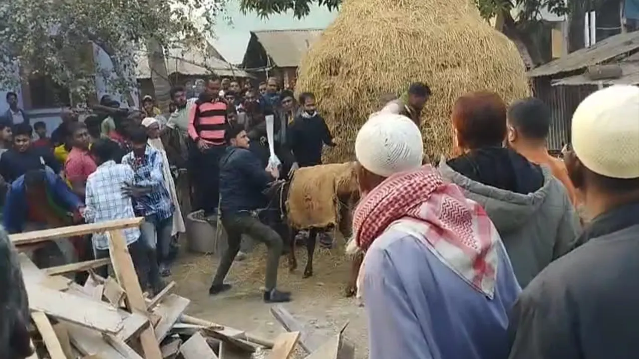 বিএনপি-জামায়াত সংঘর্ষ, নওগাঁ রণক্ষেত্র