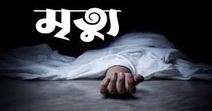 মাগুরায় ঝড়ে গাছের ডাল পড়ে মোটরসাইকেল আরোহী দু’জনের মৃত্যু।