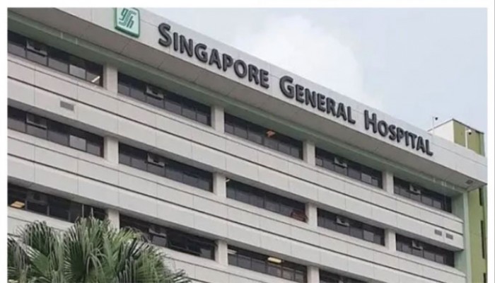 স্পিকারের সহধর্মিণী দিলারা হাফিজ সিঙ্গাপুরে ভেন্টিলেশনে