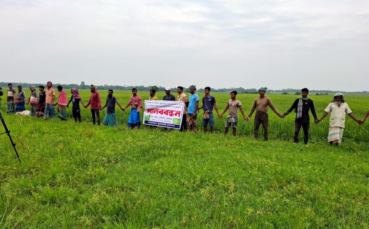 কাশিয়ানীতে সেচ কমিটির বিরুদ্ধে ধানক্ষেতে কৃষকদের মানববন্ধন