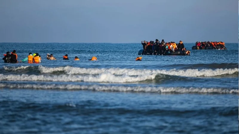 পাচার চক্রের মূল দুই সদস্য শনাক্ত, মামলার প্রস্তুতি