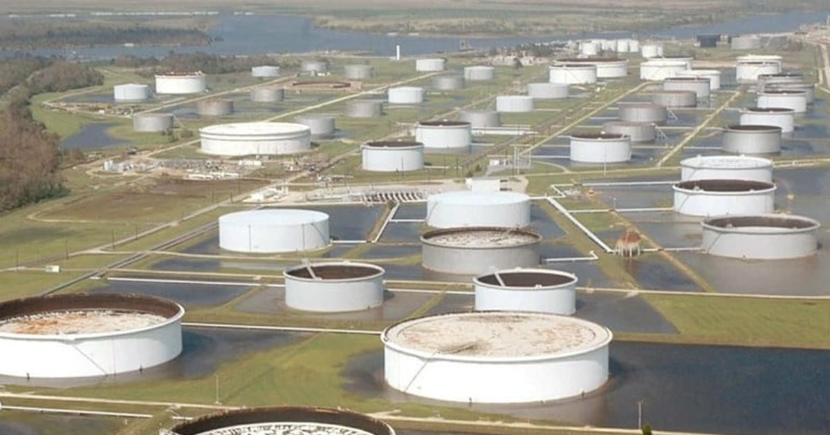 যুক্তরাষ্ট্রের কৌশলগত তেল ভাণ্ডারে বিশ্ব চলতে পারবে ৪ দিন