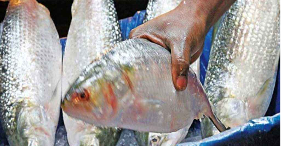 পহেলা বৈশাখের আগে দাম বাড়ল ইলিশের, পিছিয়ে নেই মুরগীও
