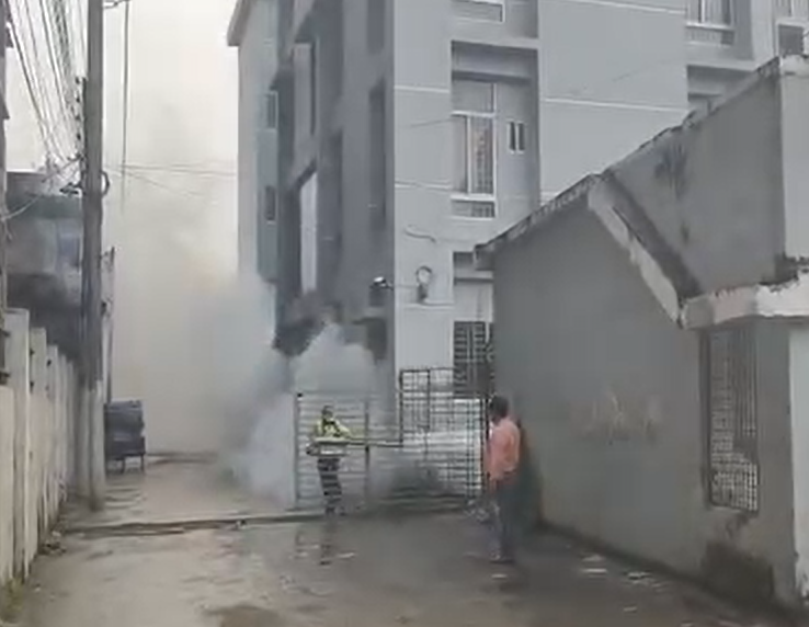 ময়মনসিংহ সিটি কর্পোরেশনের উদ্যোগে নগরীতে মশক নিধন কার্যক্রম জোরদার