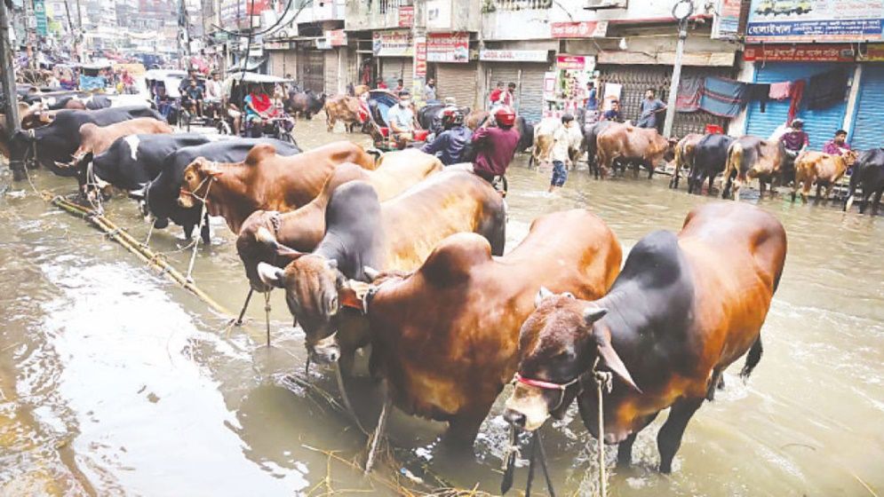 বৃষ্টিতে ঈদযাত্রা ও গরুর হাটে ভোগান্তি