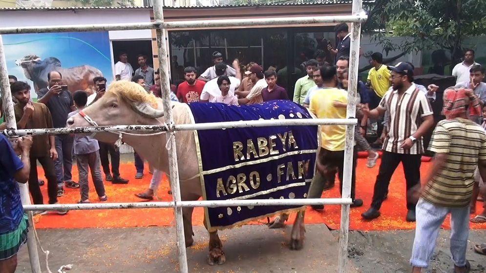 লাল গালিচায় সংবর্ধনার পর খামার থেকে বিদায় নিল ‘ডোনাল্ড ট্রাম্প’