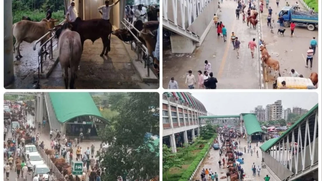 মেট্রোরেল স্টেশনে হাট বসিয়ে ৩০ লাখ টাকার ক্ষতি
