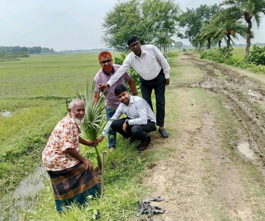 বজ্রপাত প্রতিরোধে হরিনাকুন্ডুতে খেজুর ও তালের চারা রোপন