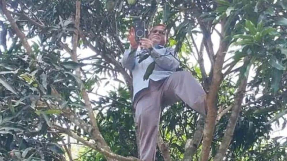‎আমগাছে উঠে অনলাইনে হাজিরা দিলেন প্রধান শিক্ষক