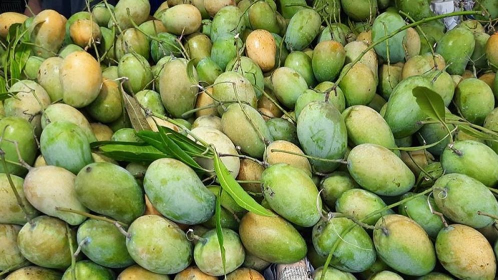 শুধু রঙ দেখে নয়, গন্ধ শুকে বুঝুন আম টক না মিষ্টি